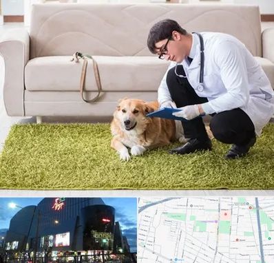 دامپزشکی در منزل در بلوار اباذر