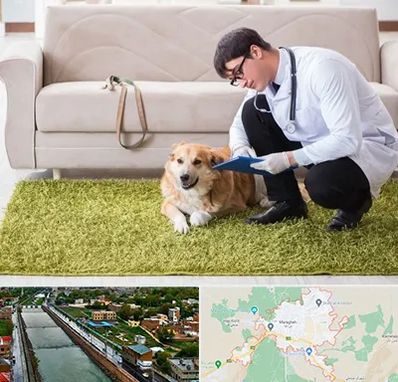 دامپزشکی در منزل در مراغه