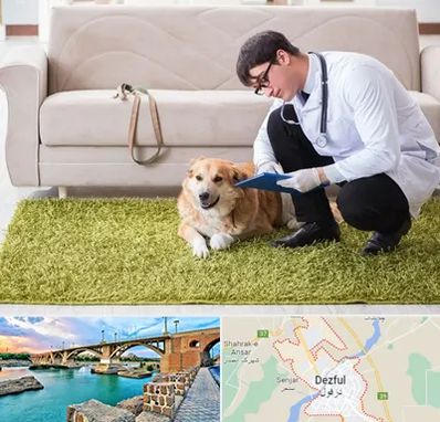 دامپزشکی در منزل در دزفول