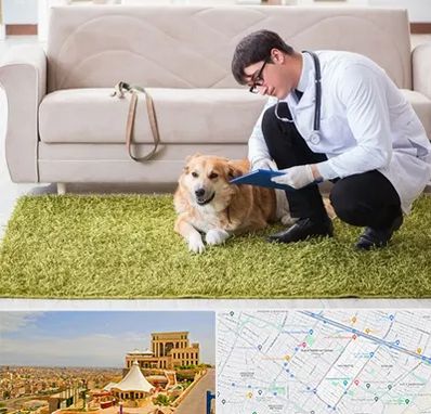 دامپزشکی در منزل در هاشمیه مشهد