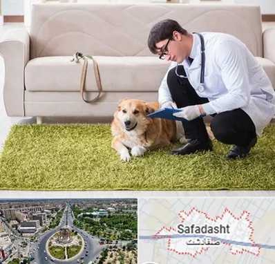 دامپزشکی در منزل در صفادشت