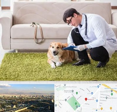 دامپزشکی در منزل در هنگام 