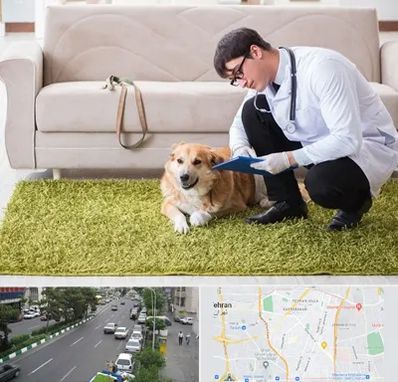 دامپزشکی در منزل در ستارخان 