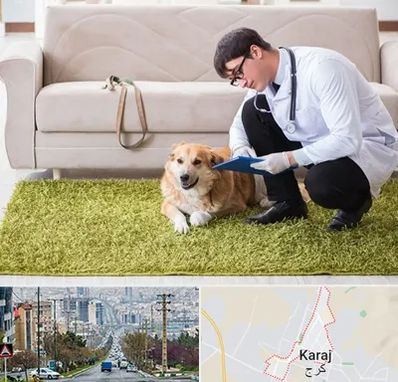 دامپزشکی در منزل در گوهردشت کرج 