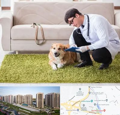 دامپزشکی در منزل در المپیک 