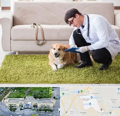 دامپزشکی در منزل در نسیم شهر