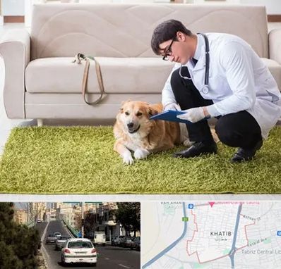 دامپزشکی در منزل در خطیب تبریز