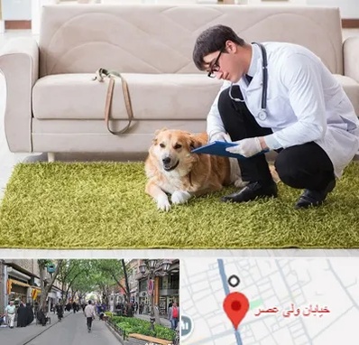 دامپزشکی در منزل در ولیعصر شهریار
