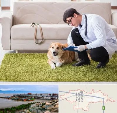 دامپزشکی در منزل در بندر ترکمن