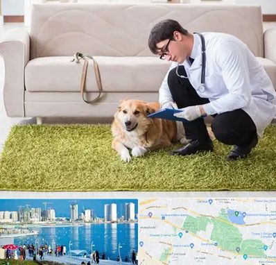 دامپزشکی در منزل در چیتگر 