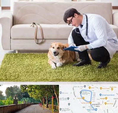 دامپزشکی در منزل در بلوار گیلان رشت