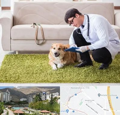 دامپزشکی در منزل در شهر زیبا 