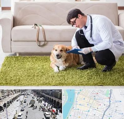 دامپزشکی در منزل در نادری اهواز