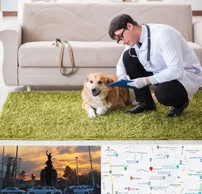 دامپزشکی در منزل در میدان حر 