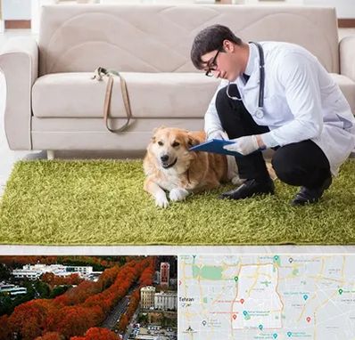 دامپزشکی در منزل در منطقه 6 تهران 