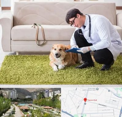 دامپزشکی در منزل در بلوار تعاون