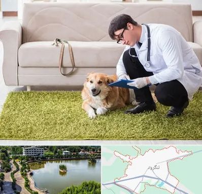 دامپزشکی در منزل در لنگرود