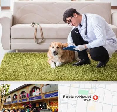 دامپزشکی در منزل در 15 خرداد