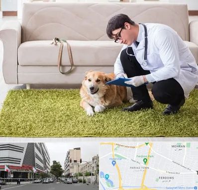 دامپزشکی در منزل در بلوار فردوس 