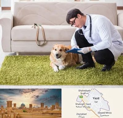 دامپزشکی در منزل در یزد