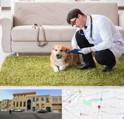 دامپزشکی در منزل در زنبیل آباد قم