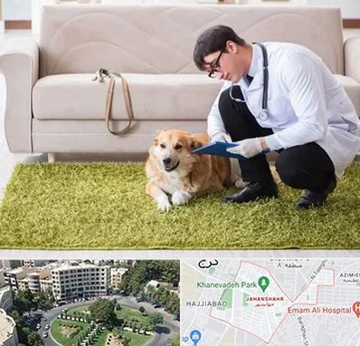 دامپزشکی در منزل در جهانشهر کرج 