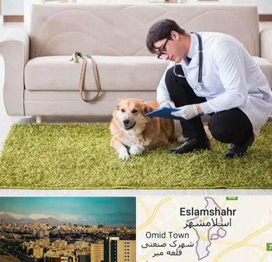 دامپزشکی در منزل در اسلامشهر