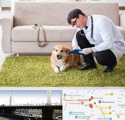 دامپزشکی در منزل در پارک وی 