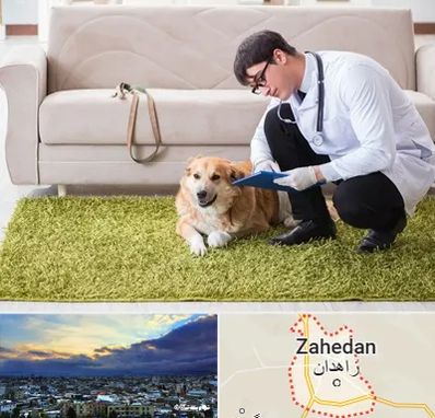 دامپزشکی در منزل در زاهدان