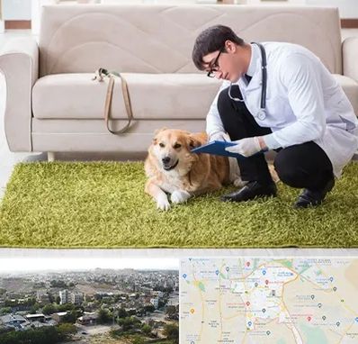 دامپزشکی در منزل در منطقه 20 تهران 