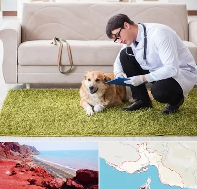 دامپزشکی در منزل در هرمزگان