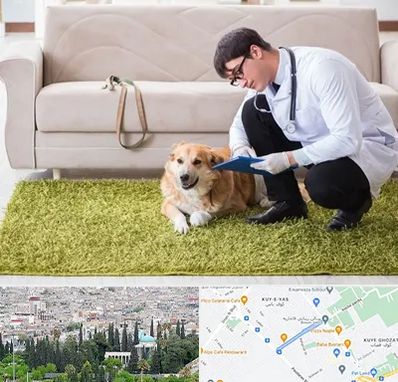 دامپزشکی در منزل در محلاتی شیراز