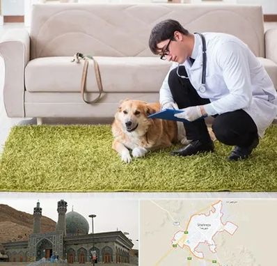 دامپزشکی در منزل در شهرضا