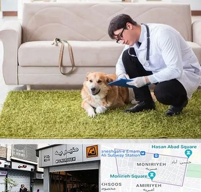 دامپزشکی در منزل در منیریه 
