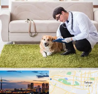 دامپزشکی در منزل در غرب تهران 