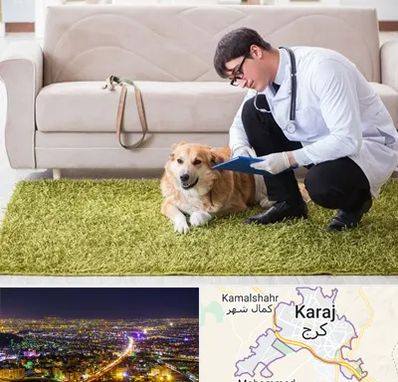 دامپزشکی در منزل در کرج