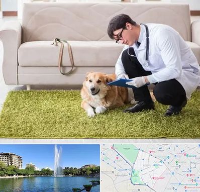 دامپزشکی در منزل در کوهسنگی مشهد