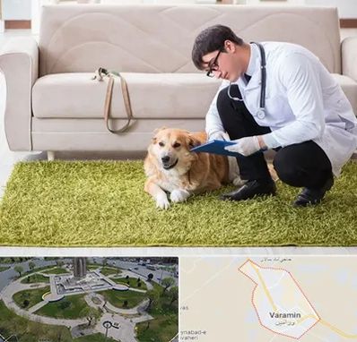 دامپزشکی در منزل در ورامین