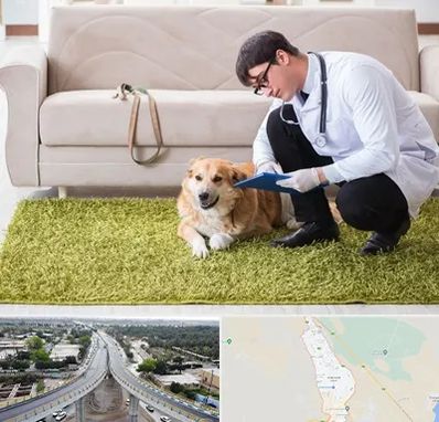 دامپزشکی در منزل در اندیمشک