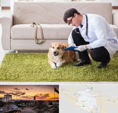 دامپزشکی در منزل در قوچان