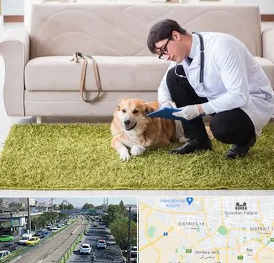 دامپزشکی در منزل در جنوب تهران 