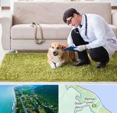 دامپزشکی در منزل در رامسر