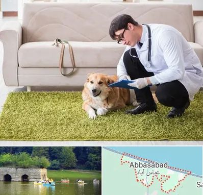 دامپزشکی در منزل در عباس آباد