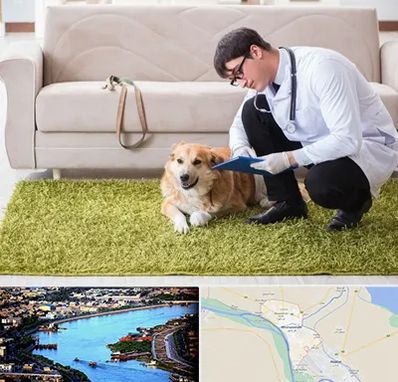 دامپزشکی در منزل در خرمشهر