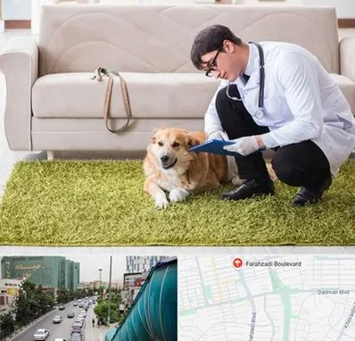 دامپزشکی در منزل در بلوار فرحزادی