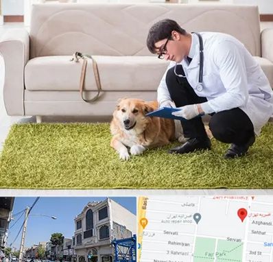 دامپزشکی در منزل در افسریه 