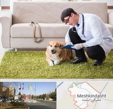 دامپزشکی در منزل در مشکین دشت