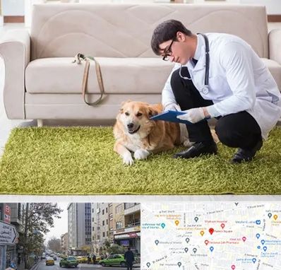 دامپزشکی در منزل در فاطمی 