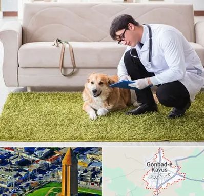 دامپزشکی در منزل در گنبد کاووس