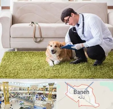 دامپزشکی در منزل در بانه